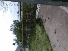 a fenced in yard with a white picket fence and trees