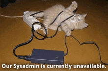 a kitten is laying on its back next to a charger with the words " our sysadmin is currently unavailable "