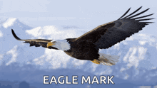 a bald eagle is flying over a mountain range with the words eagle mark above it