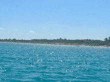 a large body of water is surrounded by a sandy beach