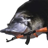 a picture of a platypus holding an ak47