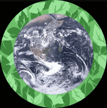 a picture of the earth in a green circle with leaves around it