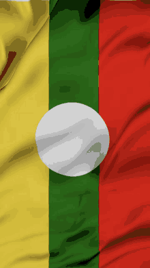 a yellow green and red flag with a white circle in the center