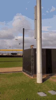a baseball field with a fence and a sign that says ' fence '