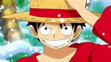 monkey d luffy from one piece is wearing a straw hat and smiling .