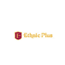 a logo for ethnic plus with a shield and the letter e on it