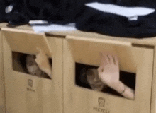 a person is sticking their hand out of a recycle bin