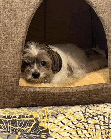 a small dog is laying in a dog house