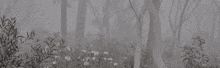 it is a black and white painting of a foggy forest .