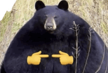 a black bear with yellow hands pointing at it 's stomach .