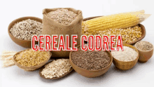 a bunch of bowls of cereal with the words cereale codrea