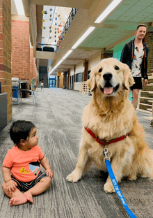 a baby sitting next to a dog that has a leash that says " walk on the leash " on it