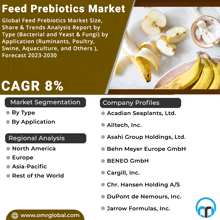 a poster that says feed prebiotics market with a picture of bananas on it