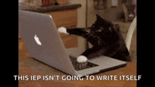 a black cat is using an apple laptop computer