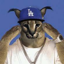 a cat wearing a la hat and a chain