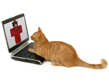 an orange cat is looking at a laptop with a red roblox character on it