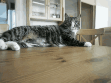 a cat laying on a wooden table with a chair behind it