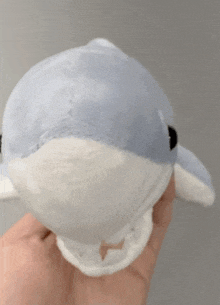 a person is holding a stuffed dolphin with a ring around its neck .