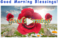 a good morning blessings greeting card with red roses