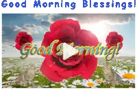 a good morning blessings greeting card with red roses