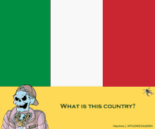 a cartoon of a skeleton standing in front of a flag with the words what is this country below it