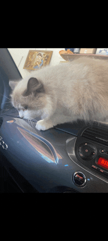 a cat is sitting on the hood of a car with a radio on it