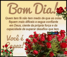 a picture of a bunch of red roses with the words bom dia