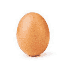 a brown egg is sitting on a white background .