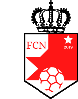 a logo for a soccer team called fcn with a crown and a ball