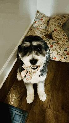 a small dog wearing a bow tie is sitting on a floral pillow