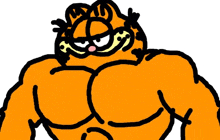 garfield is a very muscular cartoon character with a very large chest .