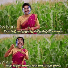 a man in a saree is standing in a corn field with a caption in telugu