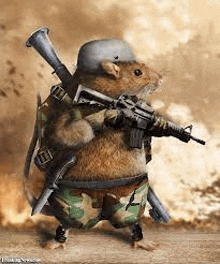 a rat in a helmet is holding a gun and a mortar .