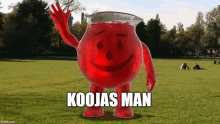 a pitcher of koojas man is standing in a field