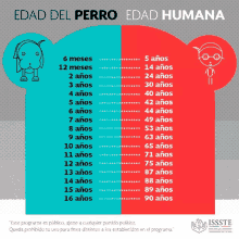 a poster showing the edad del perro and edad humana in spanish