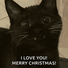 a black cat says " i love you merry christmas " on a card