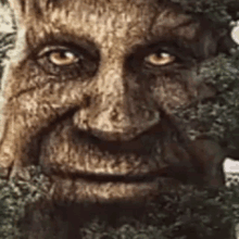 a close up of a man 's face with a tree behind it