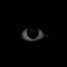 a close up of a person 's eye in the dark with a black background .