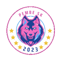 a logo for pembe sk shows a pink husky with stars around it