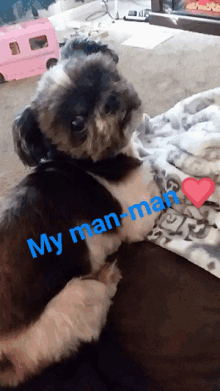 a small dog is laying on a blanket with the words my man-man written on it