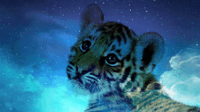 a painting of a tiger cub looking up at the stars