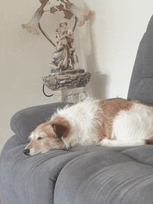 a brown and white dog is laying on a couch next to a lamp