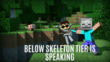 a minecraft poster with a skeleton and a man with the words below skeleton tier is speaking below them