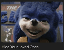 a picture of a sonic the hedgehog with the words hide your loved ones below it