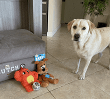 a dog is standing next to a box that says bark