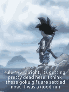 rule 472 alright its getting pretty dead here i think these goku gifs are settled now. it was a good run