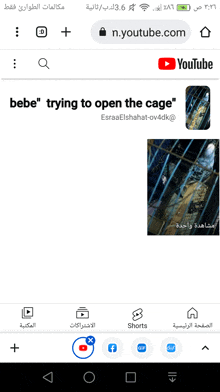 a screenshot of a youtube page that says bebe trying to open the cage