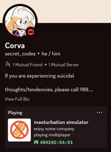 a screenshot of corva 's secret codes he / him profile