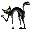 a black cat with yellow eyes is waving its tail .