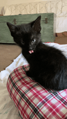 a black kitten sticking its tongue out while sitting on a plaid pillow